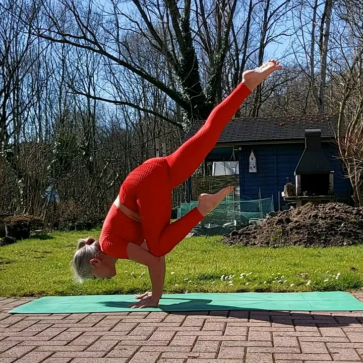 พี่แมว เยอรมัน รับเพื่อนเพิ่ม