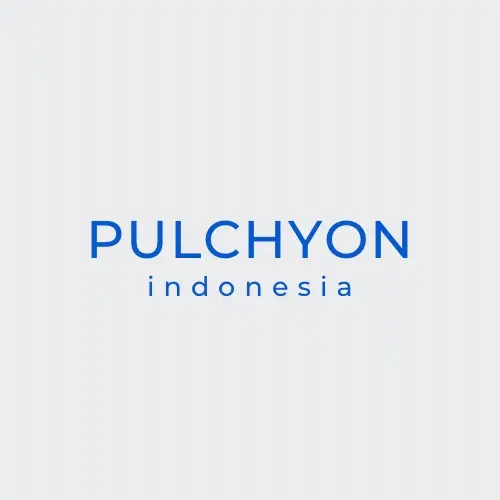 PULCHYON HIJAB
