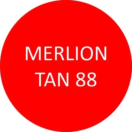 MerlionTan8