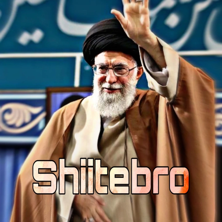 /٣١٣\ Shiitebro🍇🇦🇿