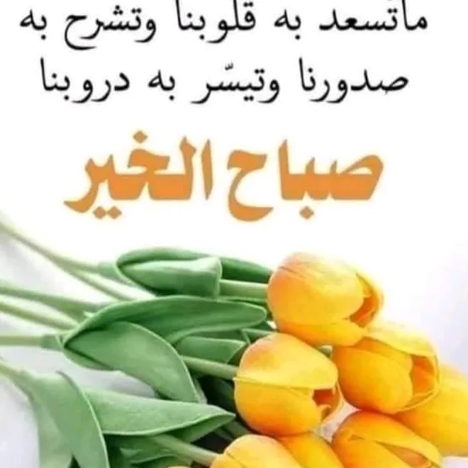 Nisrern shop