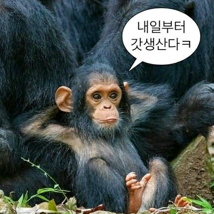 숭