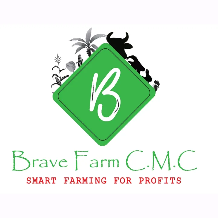 Brave