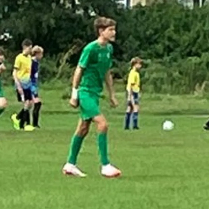 Louis king