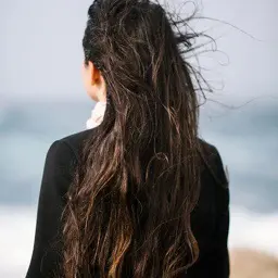 Senlina