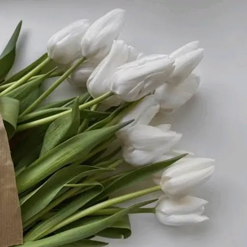 leii