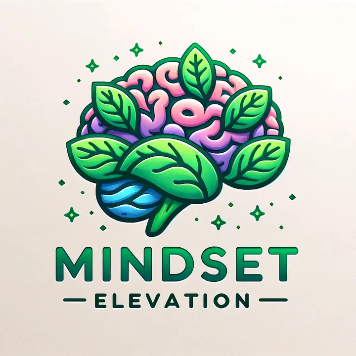 Mindset Elevation