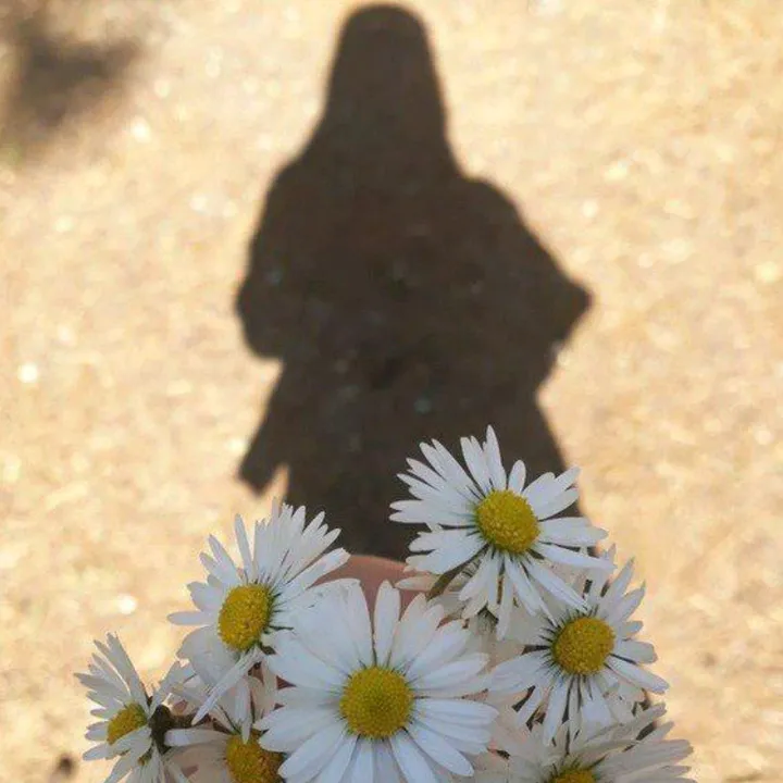 •ɑᶩɑṛ𝑎🧚🏻‍♀️💕•