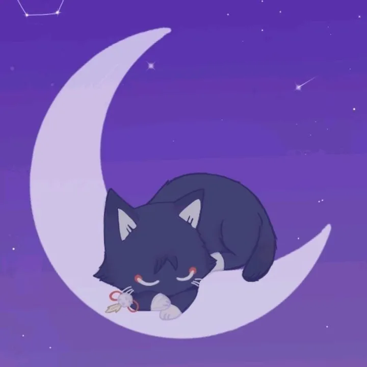 🌙☁️☂️🌑