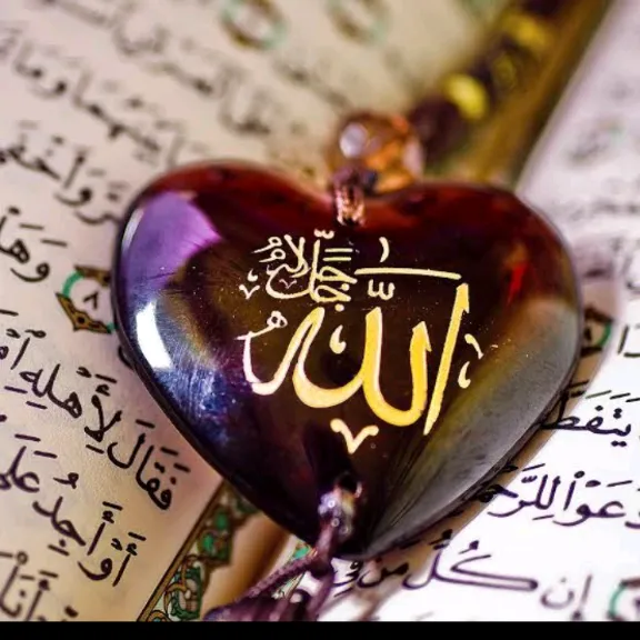 abdu249.2