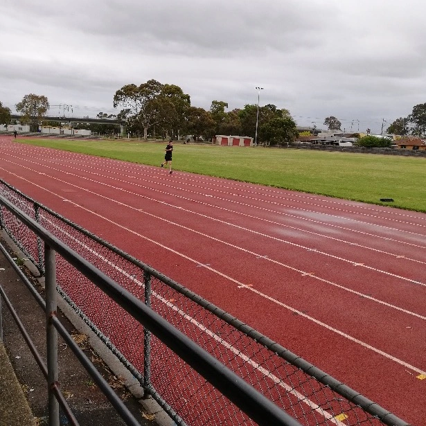 Elite Distance Runner