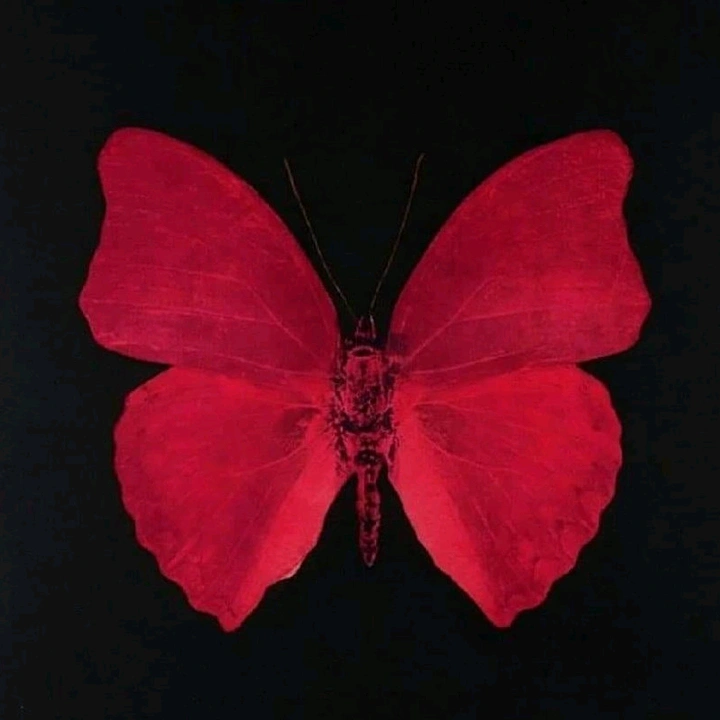 bint alsarraya