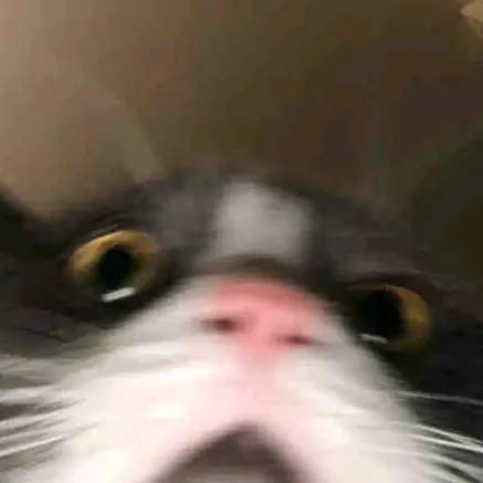 REXINPLACE