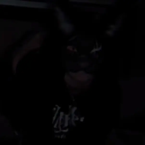 bellixdk2qs