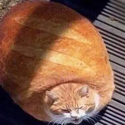Pan Gato