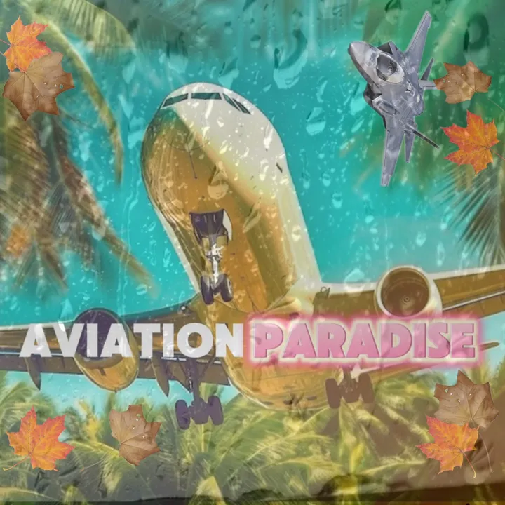 aviation.paradise