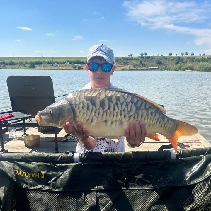 pandispan🎣