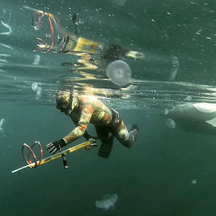 SpearfishingWW