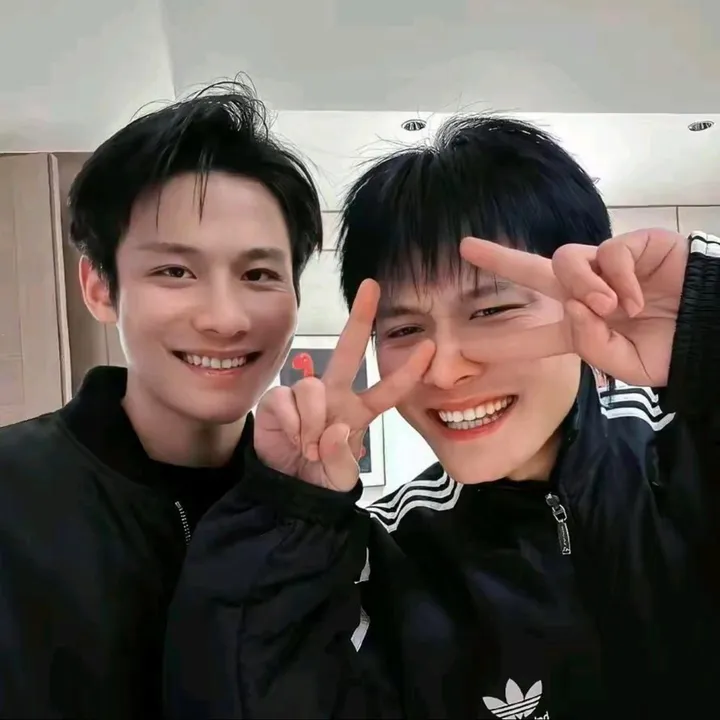 疯狂小杨哥