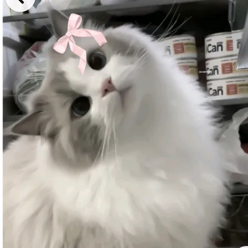 arlis markimdo🌸🌸🌸🌸🌸