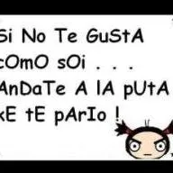 00chicadegesell