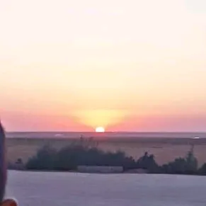 ▂ ▃ ▅ ▆ ♚♔ ÖMER