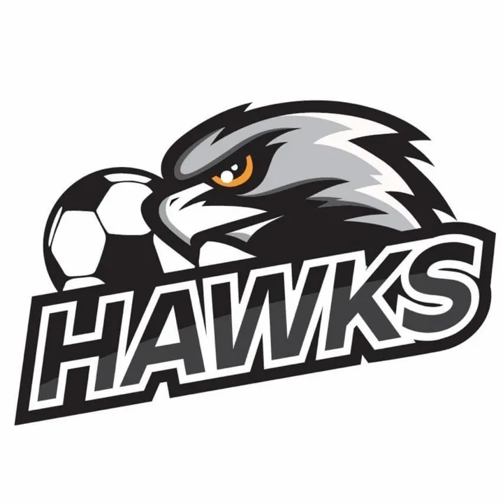 Hawks