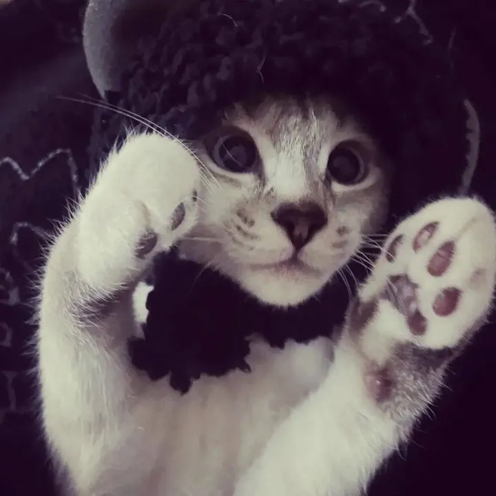 Flora🐾