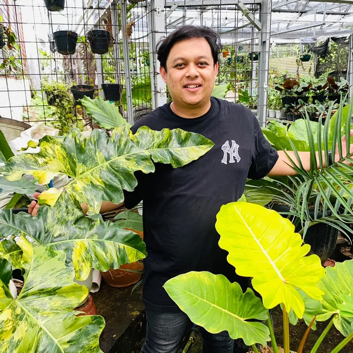 Kang Hary IndoMiamiPlants