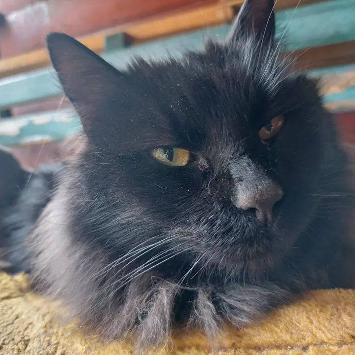 Pablo