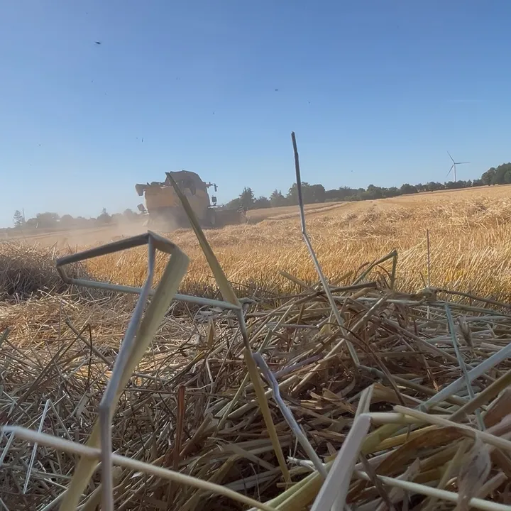 🅰️𝒢𝓇𝒾𝒸𝓊𝓁𝓉𝓊𝓇ℯ𝓈🤠💨🚜