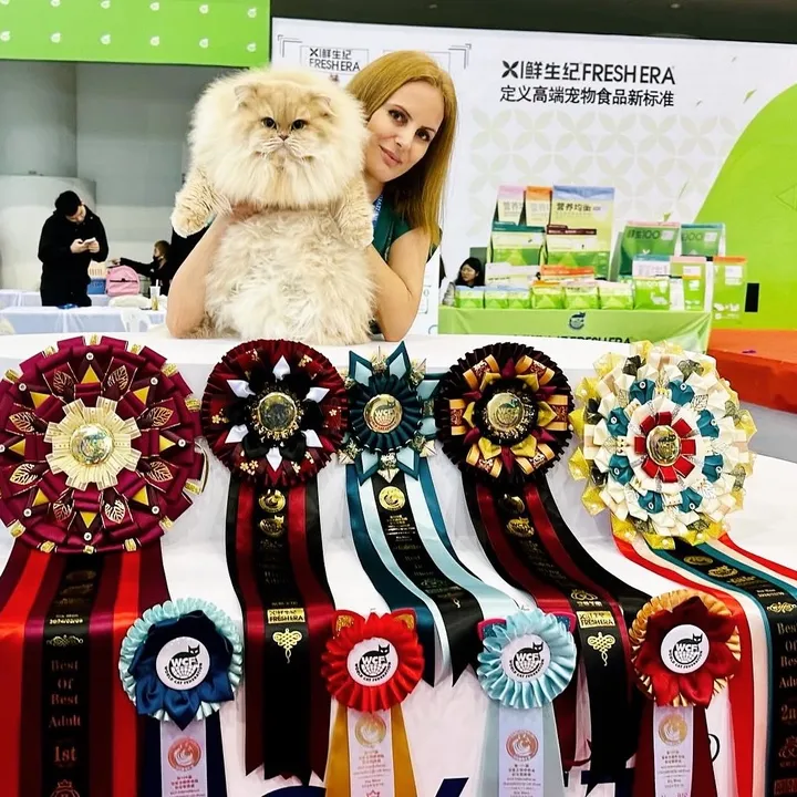 Veroluxurious_cattery