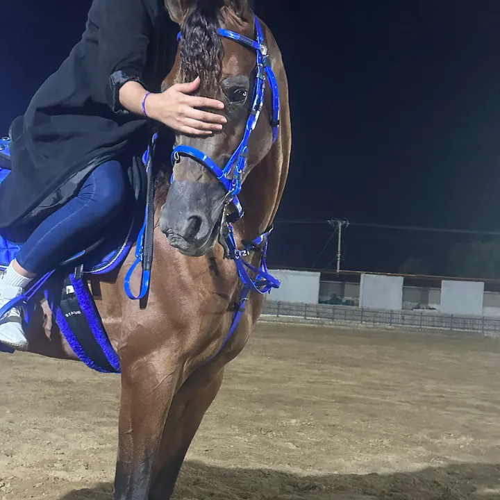 المصوره و الخيالية نادو 📸🐎