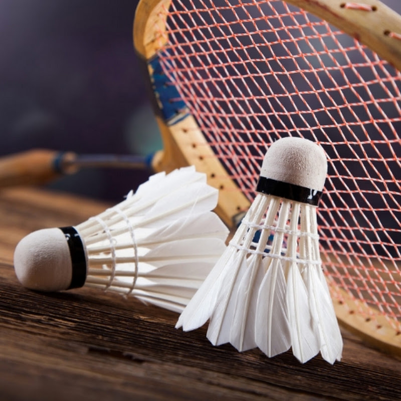 WILL RISE BADMINTON