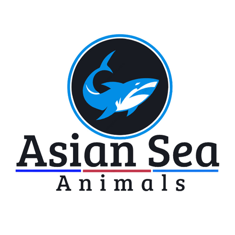 Asian Sea Animals
