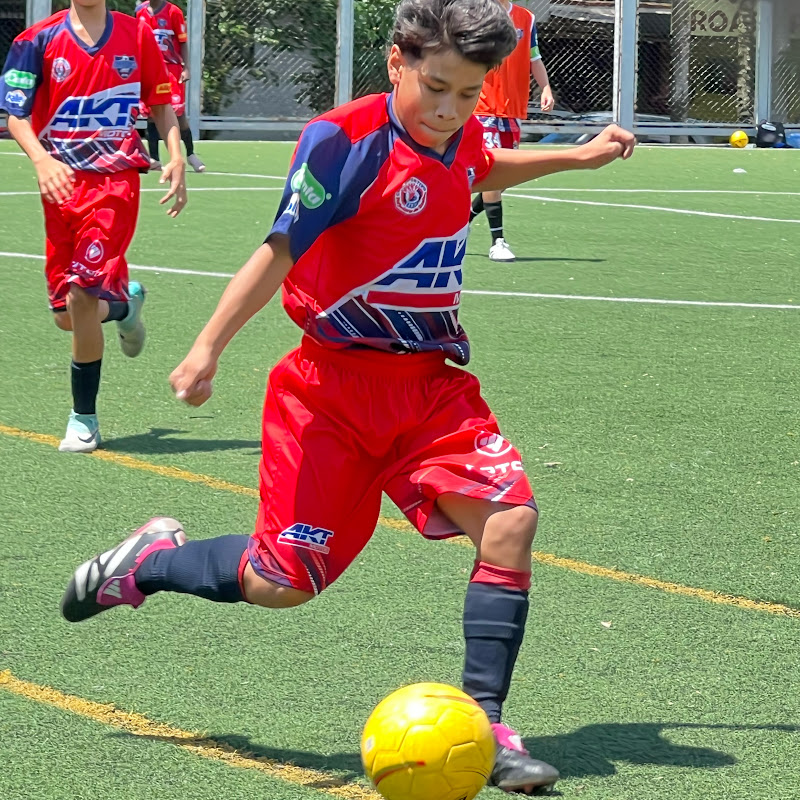 Camilito cortez