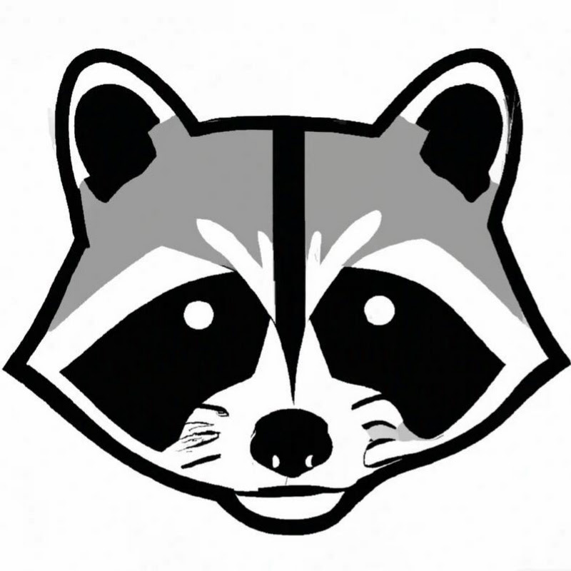 Daily Dose of Raccoons