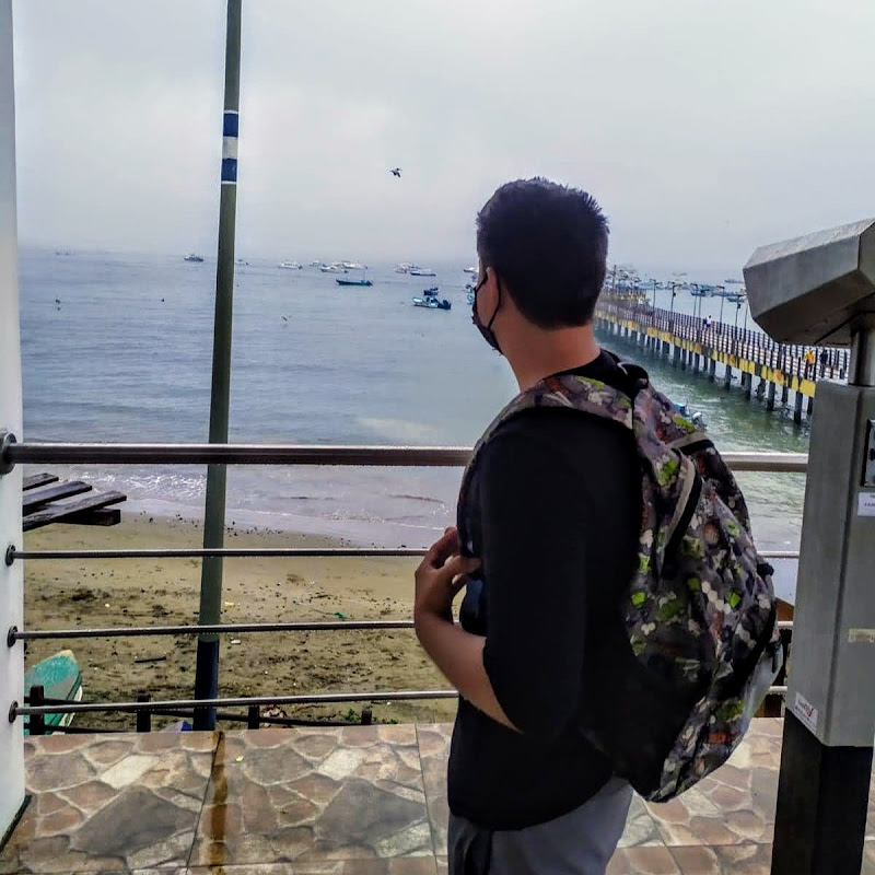 Alvarado Vlogs