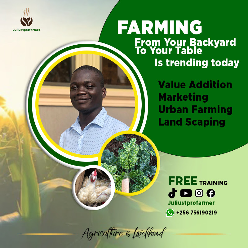 TAMALE JULIUS (Farmer)
