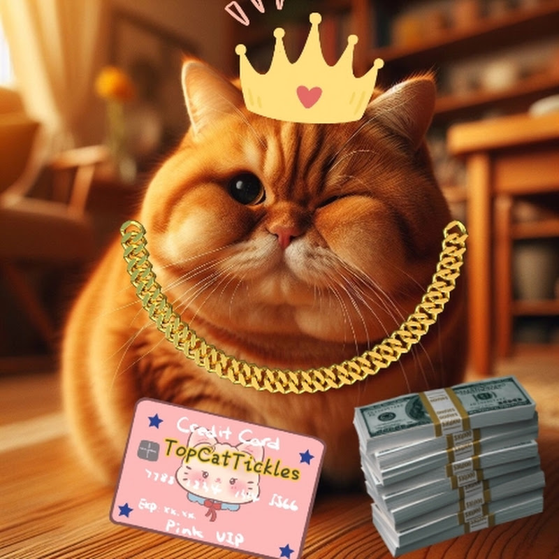 TopCatTickles