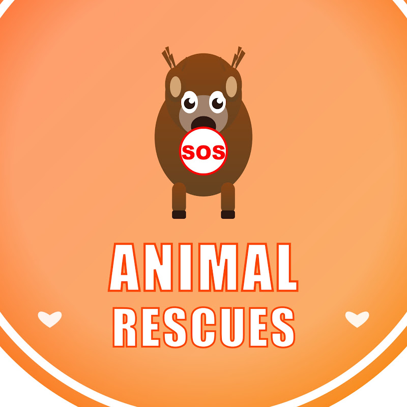 Animal SOS Rescues