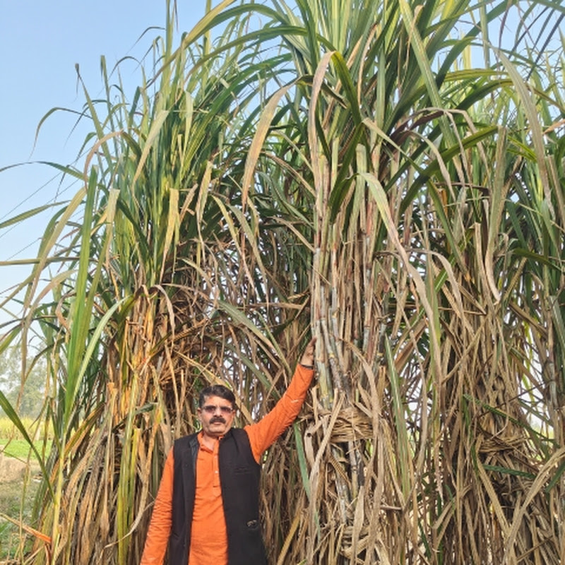  Yugansh Farming