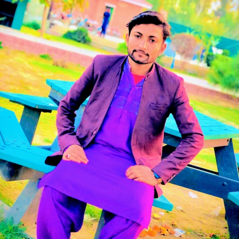 Gulzari Village Vlogs 