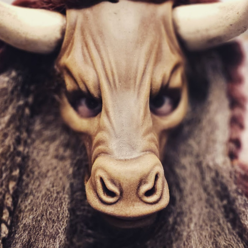 ASMinotauR