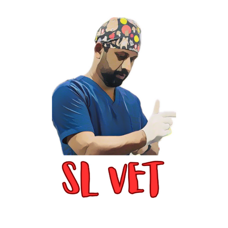SL Vetz Vlog