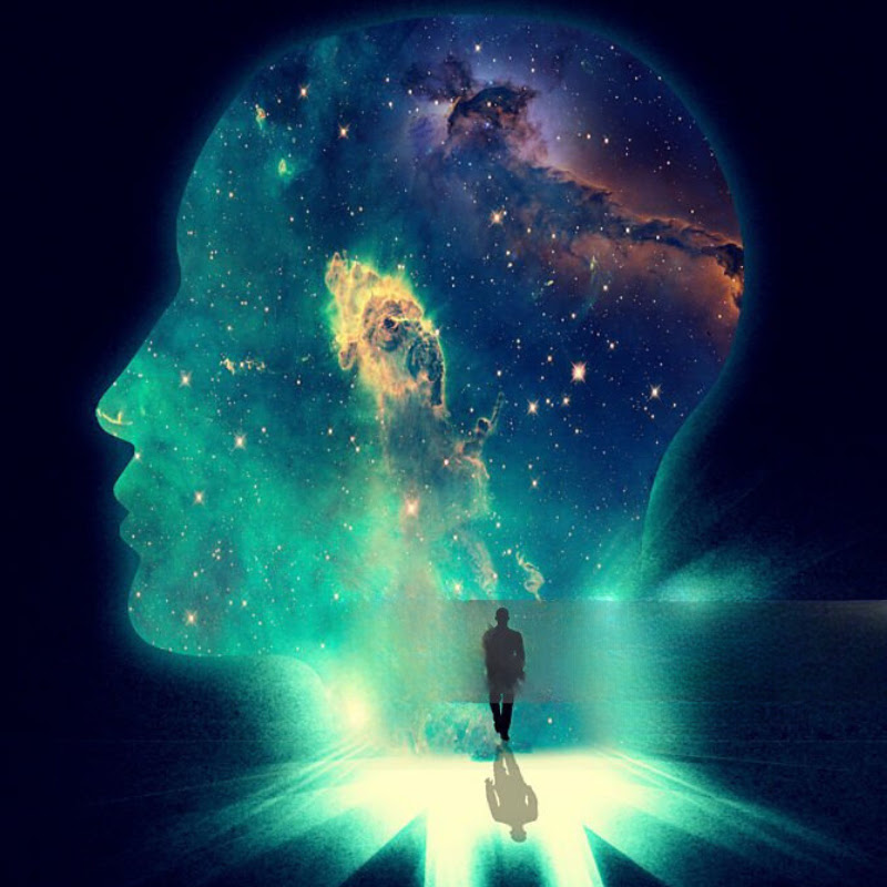 Digital Discoveries