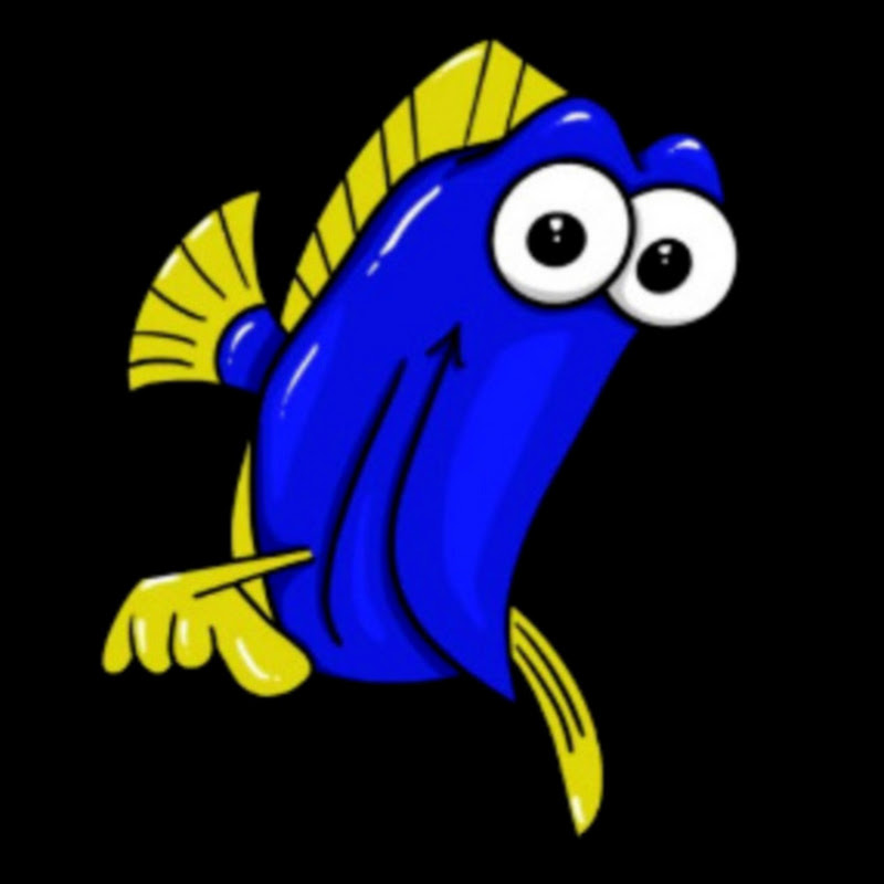 Reef NC
