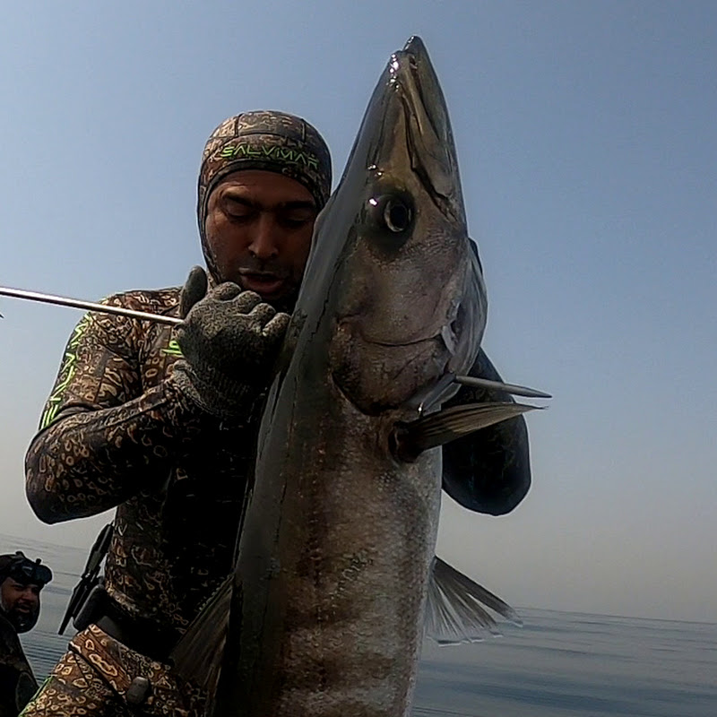 Akif Raj Spearfishing