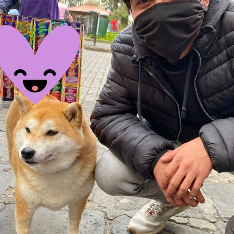 CheemsNews