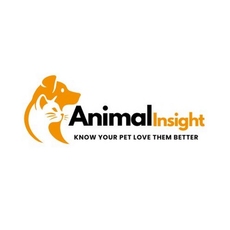 Animal Insight
